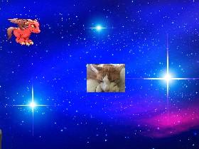 laser cat