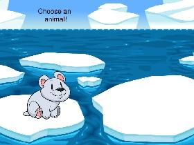 Week 8: Polar Quiz 1