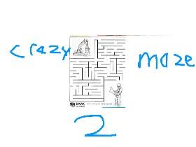 crazy maze 2
