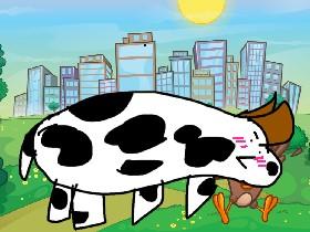 cow man