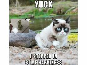 cat memes zach 2😹😹😹😹