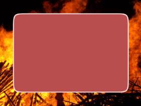 Forest Fire