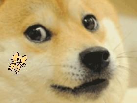 Chat with Mr. Doge 1 1