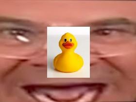 duck walks across phil