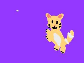 cat quiz