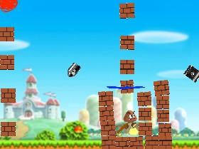 Mario's Target Practice 1 1