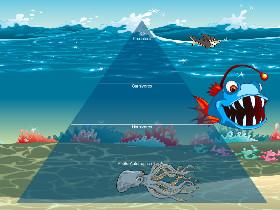 Ecological Pyramid 2