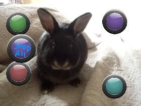 Olive the rabbit: music!©™ 1