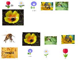 Bee clicker!