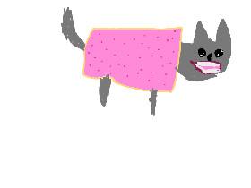 cat explode