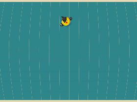Bird Mayhem 1