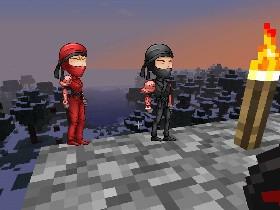 Ninjas in Minecraft