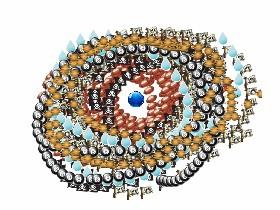 Spin Draw 1