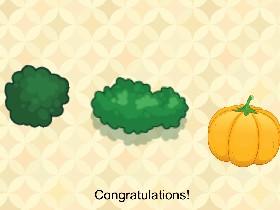 Tricky Turkeys 1
