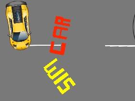 Car Sim RELEASED 1