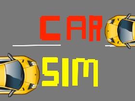 Car Sim p