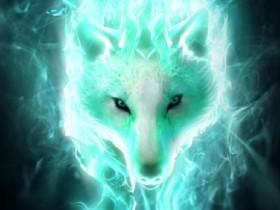 welcome wolfs