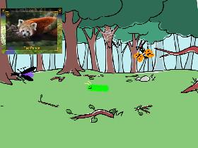 Red panda simulator