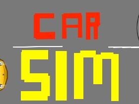Car Sim RELEASED 1