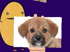 MAKE IT RAIN PUPPIES!