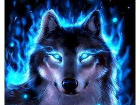 wolf