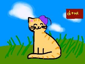 Cute little cat customiser!!