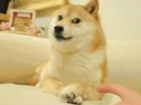 doge
