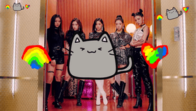 k-pop cats and kittys