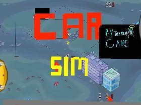 Car Sim RELEASED   1