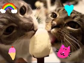 Cats L❤️VE Ice cream 🐱 by:The Uni girls 1