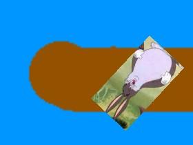 zanders big chungus