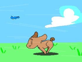 Bunny Run+Animation 1