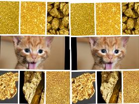 kitties love gold