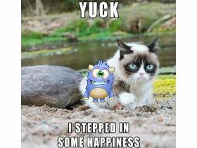 cat memes original  1