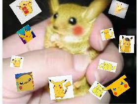 PICACHO!!!!!