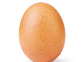 get this egg to be famous on tynker 1