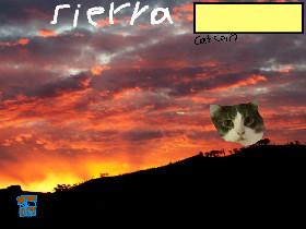 cat clicker
