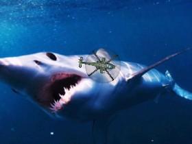 bee  grower /destroyer - copy 1