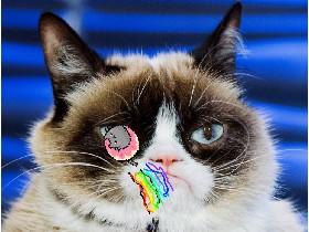 Nyan cat rainbow spin 2