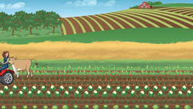 Tour of the Farm