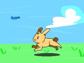 Bunny Run+Animation 1