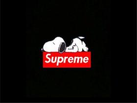 supreme snoopy