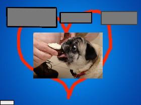 Pug OREO CLICKER 21 1 (copy)