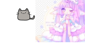cat with its owner