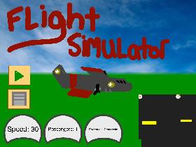 Flight Simulator (Remix) 1