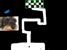 The Maze Game! 1 - copy 1 1