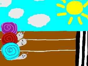 snail races!