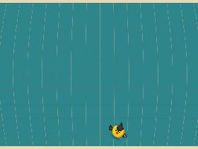 Bird Mayhem 4