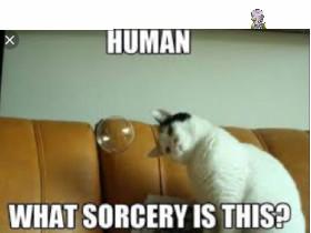 Battle Cats Theme song 1