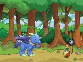 Dragons Home